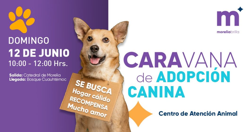 AYTO 5 110622