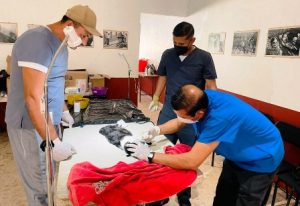 ssm esterilizacion 1207