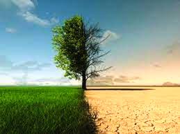 bru El cambio climatico con calorones