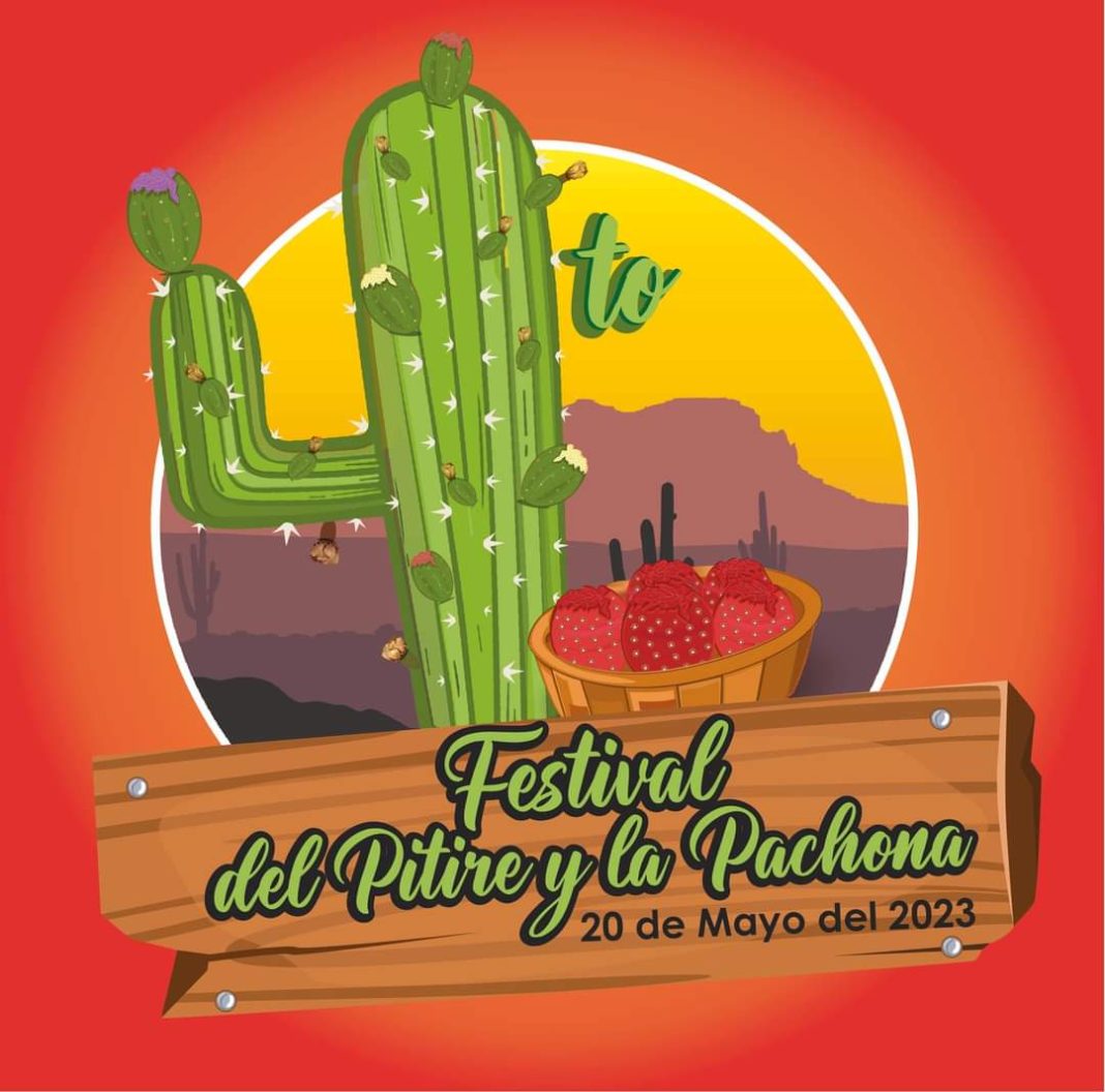 FESTIV PITAYA