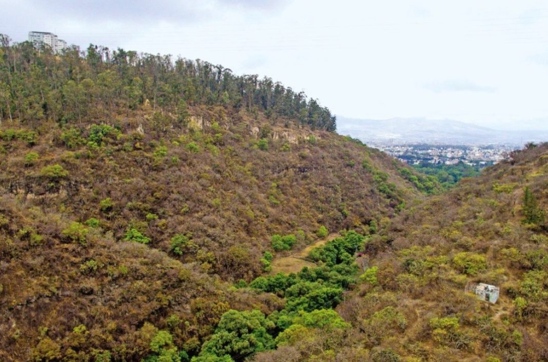 LOMA SANTA MARIA