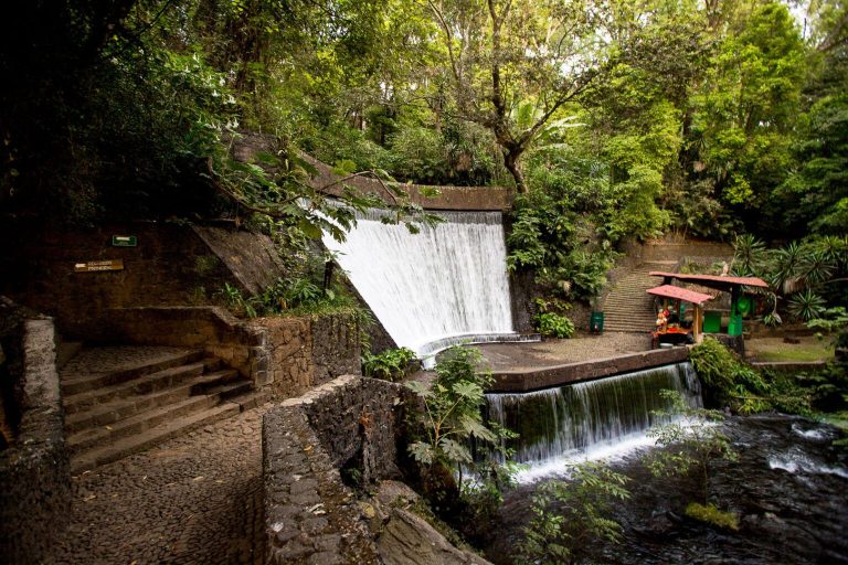 Cultura, naturaleza y gastronomía se entrelazan en Uruapan