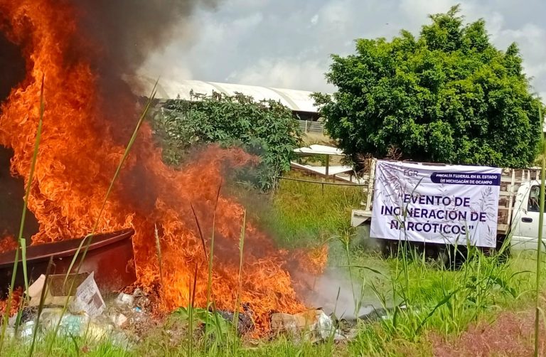 Incineran más de 400 kilos de drogas y más de cuatro mil psicotrópicos en Michoacán