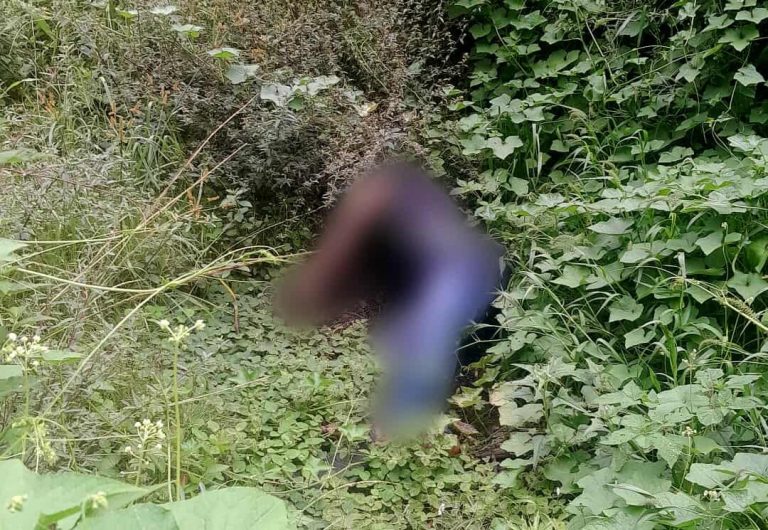Encuentran un ejecutado a un costado de la carretera libre Uruapan-Pátzcuaro