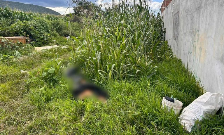 Hallan a un hombre ejecutado en terreno baldío de Jacona