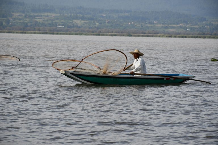 Reman por la paz en torneo de canotaje en la isla de Janitzio