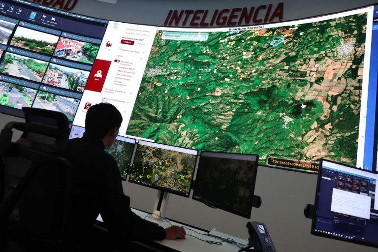 Michoacán, modelo mundial en políticas ambientales: Bedolla