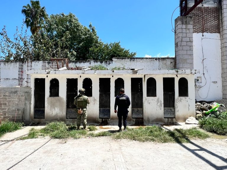 Participa SSP en aseguramiento de inmueble, 10 vehículos y animales exóticos