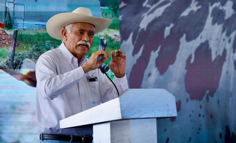 Más de 250 cabezas de ganado estarán en exhibición en la Expo Ganadera 2025