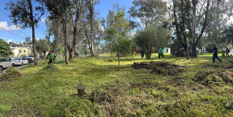 En Fuentes de Morelia y Juana Pavón, Realizan jornada de limpieza en Fuentes de Morelia y Juana Pavón