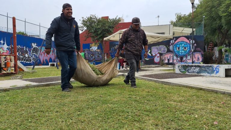 Gobierno de Morelia da mantenimiento integral al área verde de la 5 de Diciembre