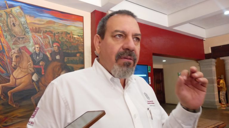 Huertas ilegales de aguacate ponen en riesgo el T-MEC