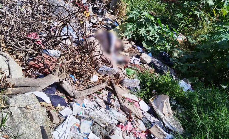 Tenía 21 años el joven ejecutado en la colonia Ejidal Sur, de Zamora