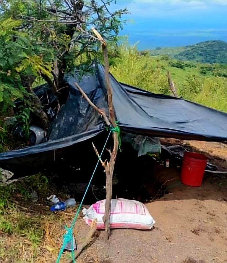 Destruyen 2 campamentos del crimen organizado en Parácuaro