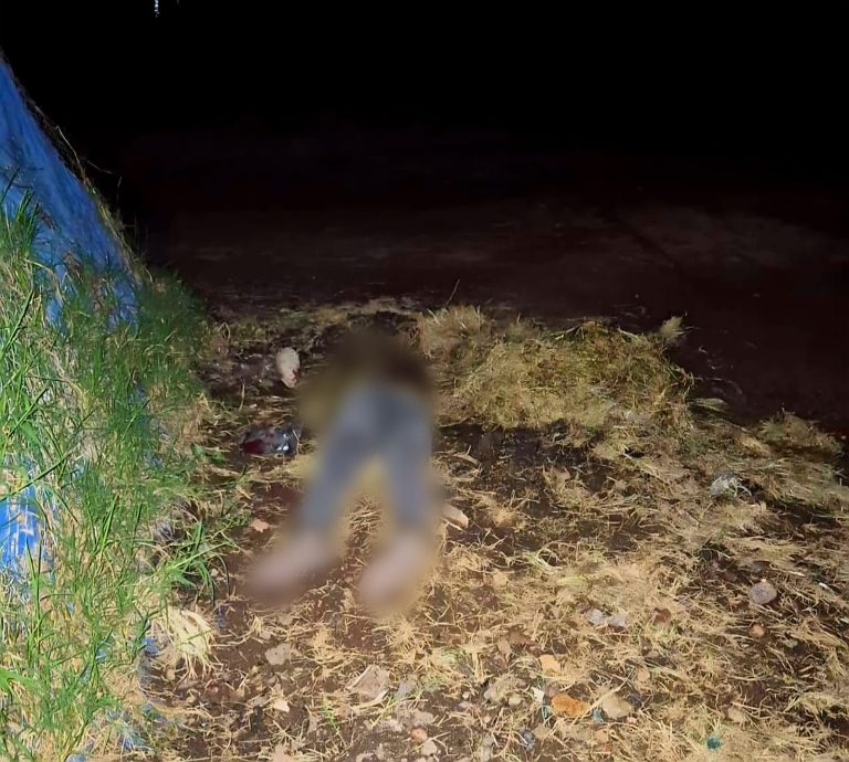 Lapidado y baleado encuentran cadáver en predio de Zamora