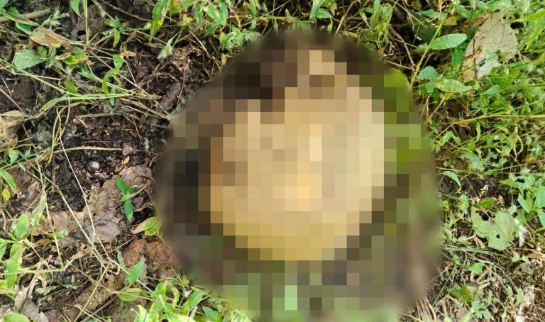 Localizan cráneo humano y prendas en predio entre los límites de Capula y Tacícuaro