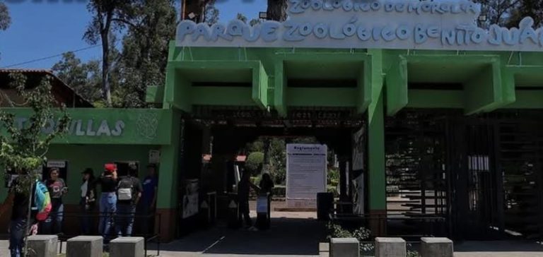 Cumple 55 años el Zoológico de Morelia, consolidado como un espacio de cuidado y conservación animal