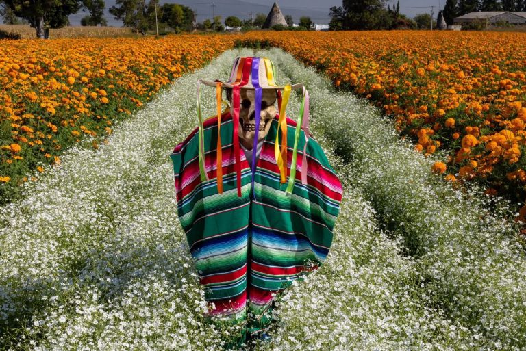 Festival de las Flores de Copándaro prepara un fin de semana lleno de tradición y color