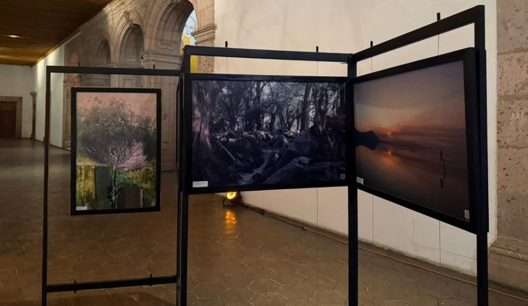 Premian al talento en el Concurso de Fotografía Científica 2025