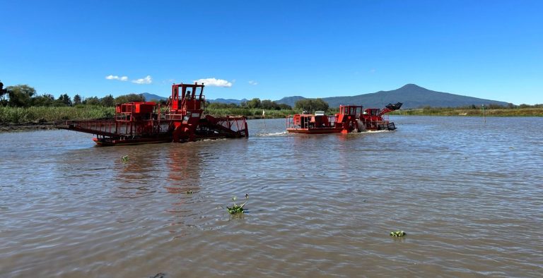 Preparan muelles y canales del lago de Pátzcuaro para Noche de Muertos