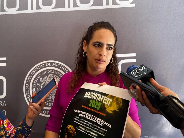 Convoca diputada a colecta de comida para perros