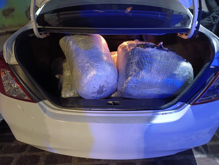 En Zitácuaro, un detenido con cerca de 30 kilos de mariguana