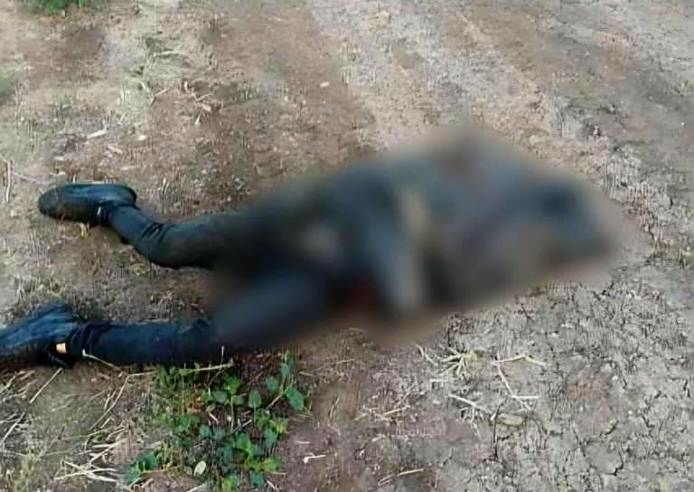 Una veintena de ejecutados en lo que va del mes