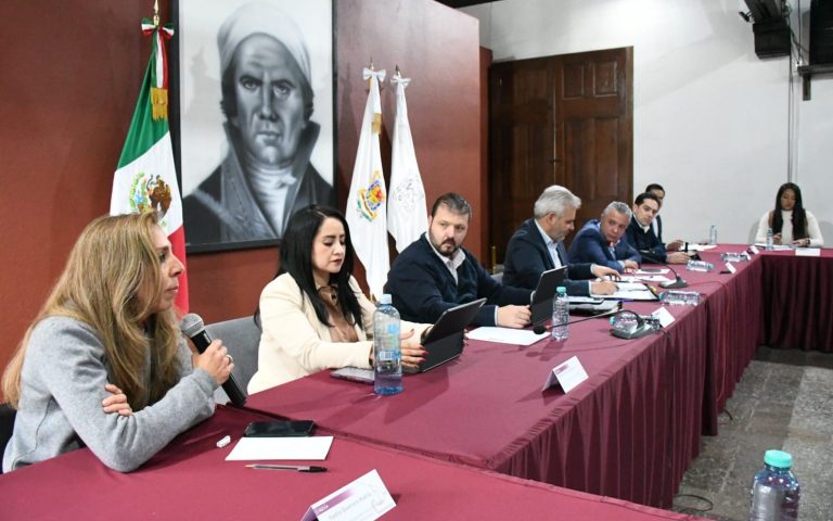 Empatía para personas con discapacidad, pide Yadira Guerrero al gobernador michoacano