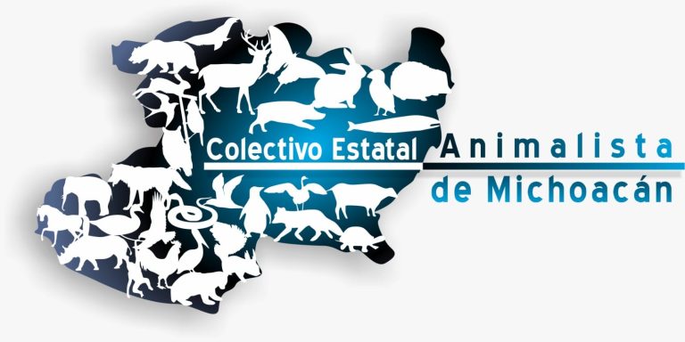 “Asociaciones animalistas lanzan un enérgico ‘¡Ya basta!’ ante el envenenamiento masivo de animales”