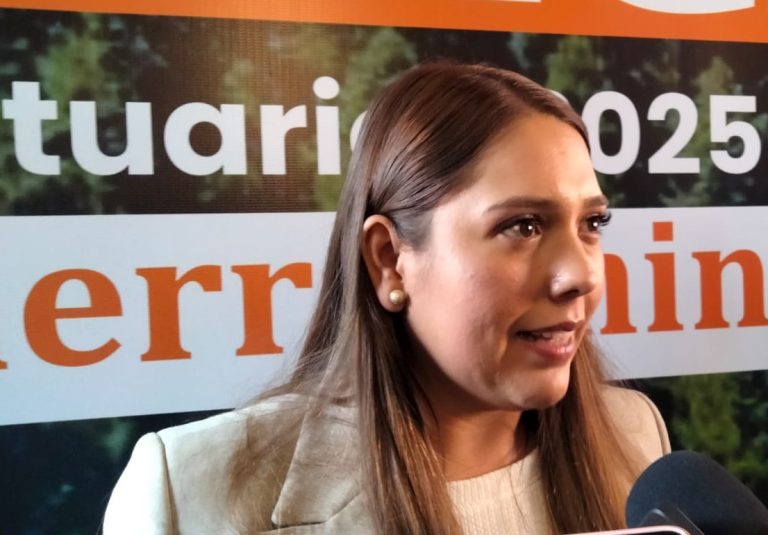 Alcaldesa de Ocampo señala que “El guardián de la Monarca” desplomó turismo en oriente hasta 80%