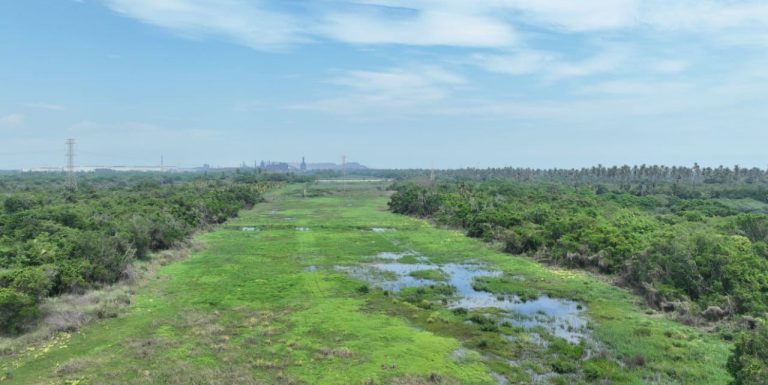 Presentan en Brasil proyecto de cocodrilario ecoturístico en Lázaro Cárdenas