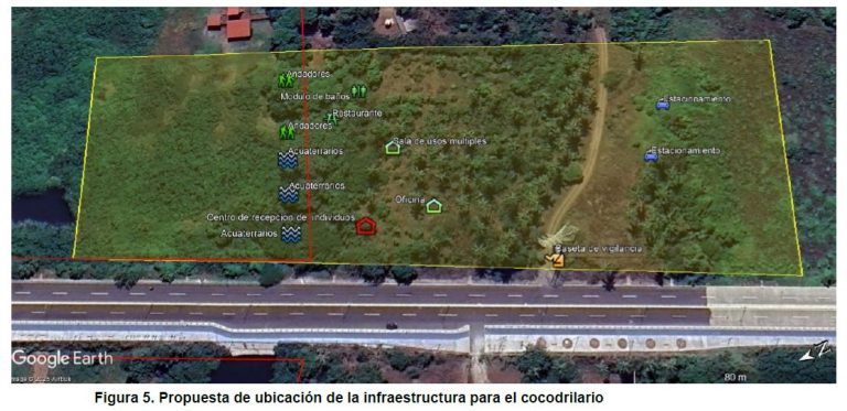 Presentan modelo de convivencia entre humanos y cocodrilos para enfrentar cambio climático en Michoacán