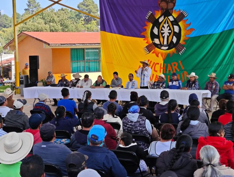 Plan Michoacán es discriminatorio, unilateral y engañoso: Consejo Supremo Indígena de Michoacán