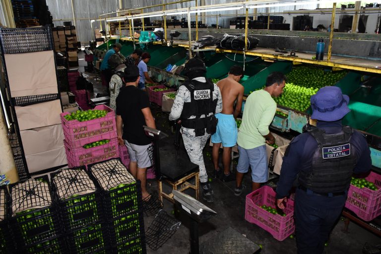 Refuerza la seguridad en empacadoras de limón en Apatzingán