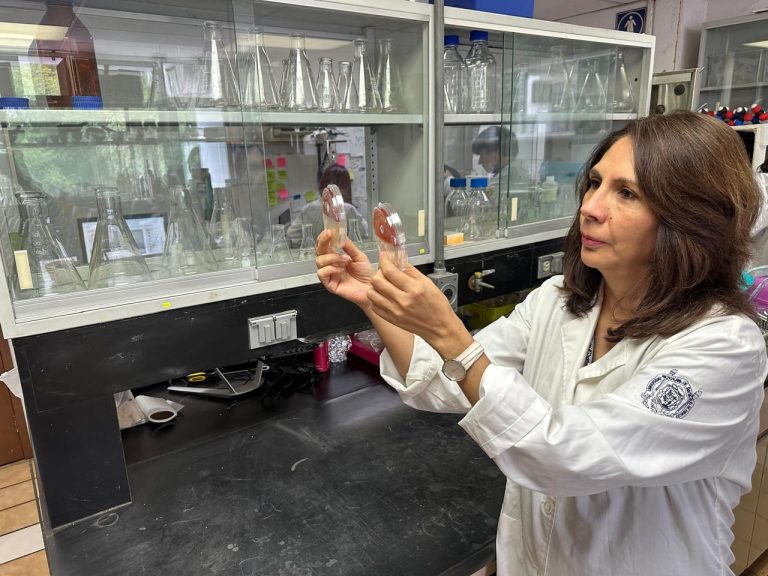 Profesora de la UMSNH, elegida por su trabajo entre aproximadamente 17 mil investigadores en el ranking Research.com.